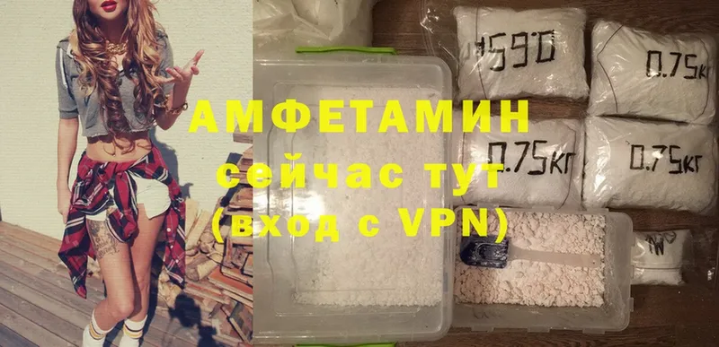 купить наркоту  Пошехонье  Amphetamine VHQ 